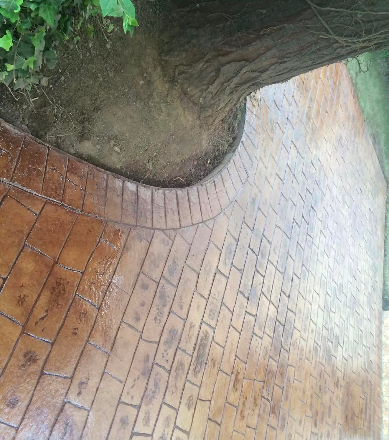 Warm brindle imprinted concrete path curved cleanly around the base of a mature tree, wet-sealed to a sheen